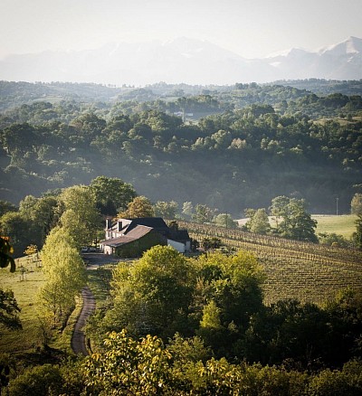 Le vignoble du Domaine de Cabarrouy