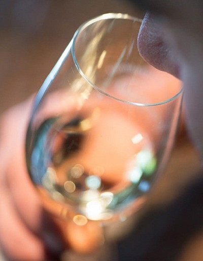 dégustation au Domaine de Cabarrouy, photo © Luc Hautecoeur