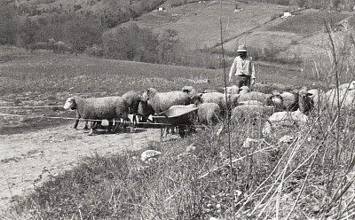 1988 au Domaine de Cabarrouy, photo © Domaine de Cabarrouy