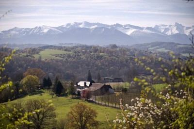 Le Domaine de Cabarrouy au pied des Pyrénées