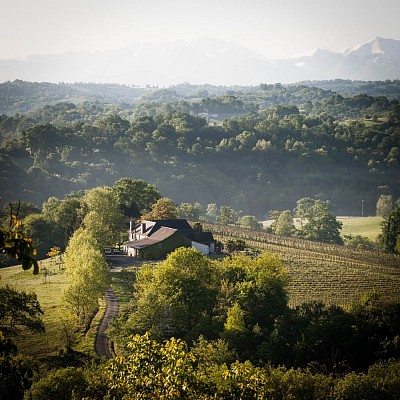 Le terroir du Domaine de Cabarrouy