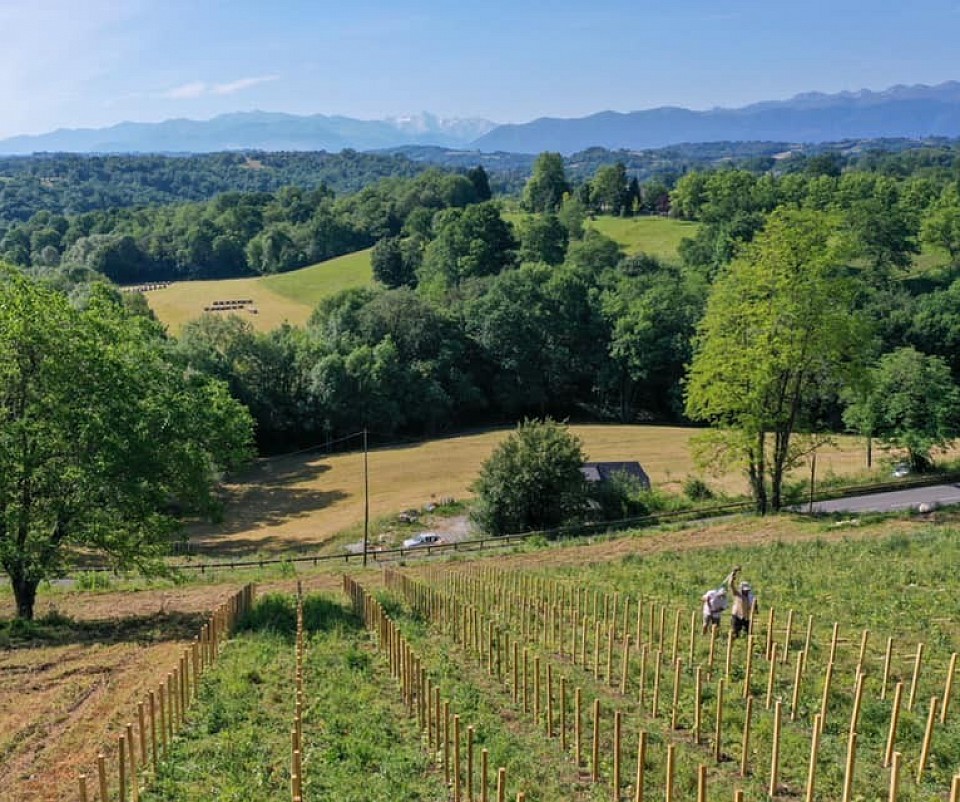 Le Clos Jolibert avec vue sur le Domaine de Cabarrouy