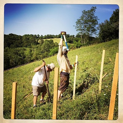 Père et fils, mai 2020  : installation des piquets